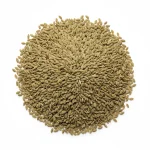 Carom Seeds